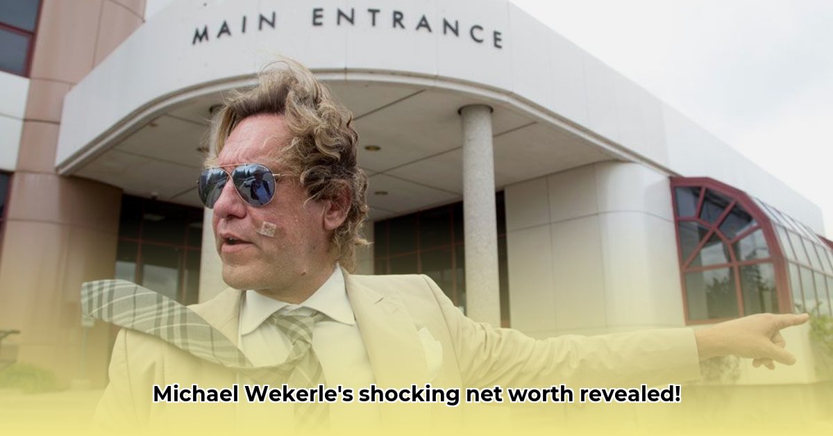 michael-wekerle-net-worth